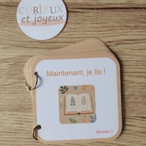 livret de lecture niveau 1 syllabes simples