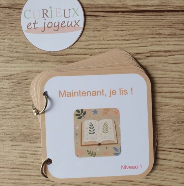 livret de lecture niveau 1 syllabes simples