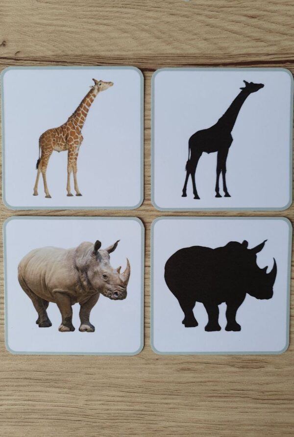 associer l’animal à son ombre
