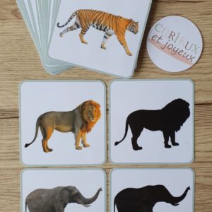associer l’animal à son ombre