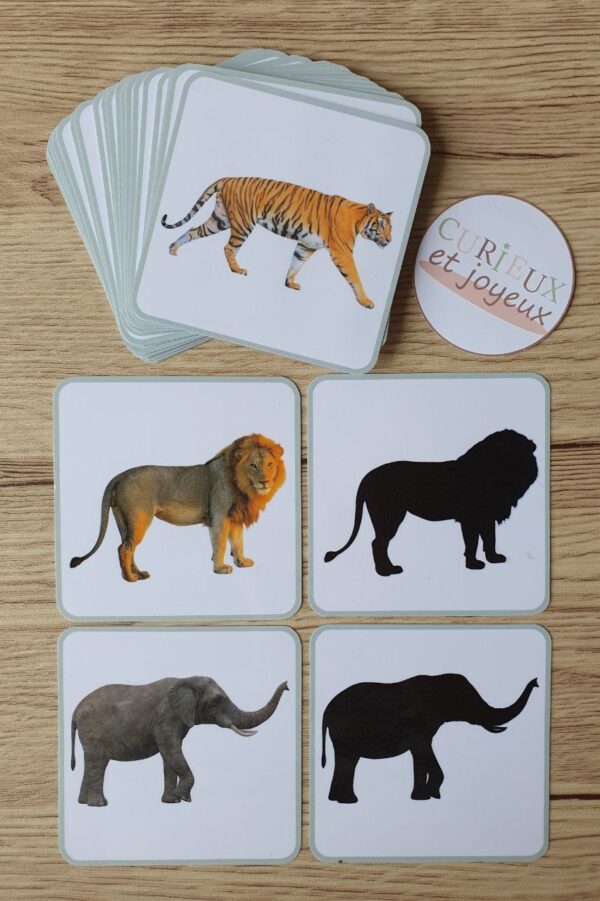 associer l’animal à son ombre