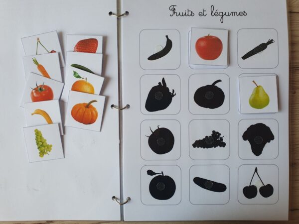 livret "les ombres – activité d’observation"