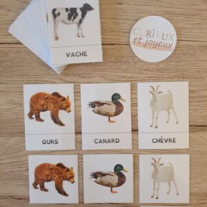 cartes de nomenclature couleurs (copie)