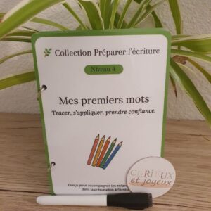 carnet de lettres à tracer préparer l'écriture niveau 3 (copie)