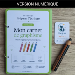 carnet de graphisme préparer l'écriture niveau 1 (copie)