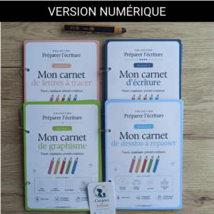 préparer l'écriture lot 4 niveaux (copie)