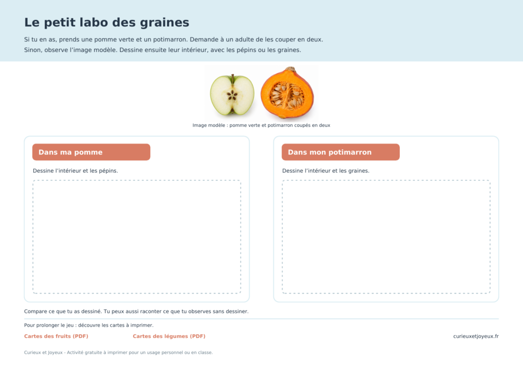 apercu le petit labo des graines curieux et joyeux