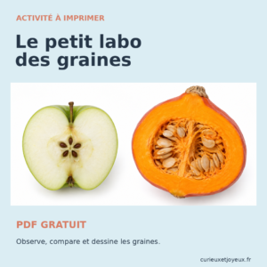 le petit labo des graines visuel boutique carre 960x960